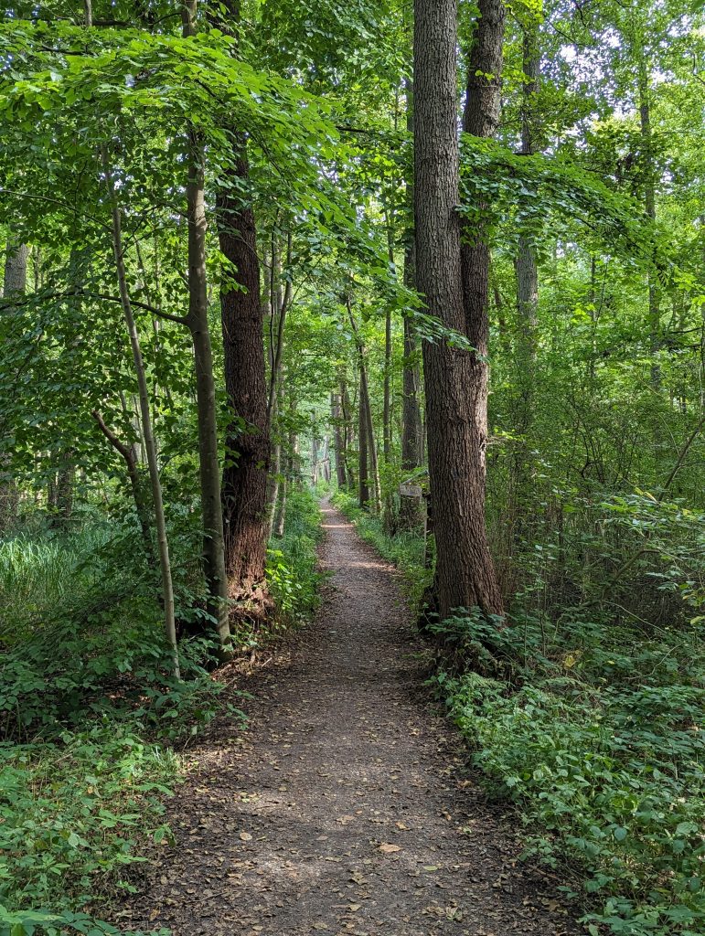 Foto von Inken Janzen